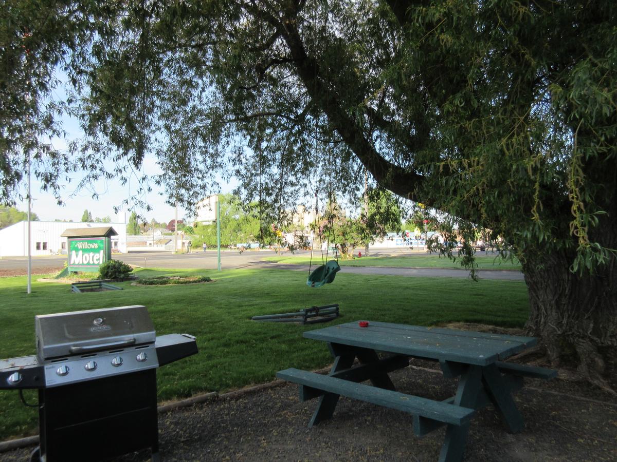 The Willows Motel - thumb 6