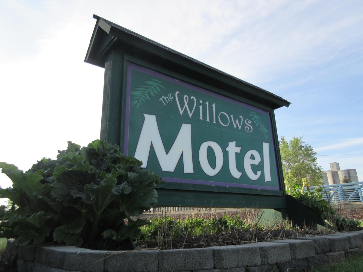 The Willows Motel - thumb 12