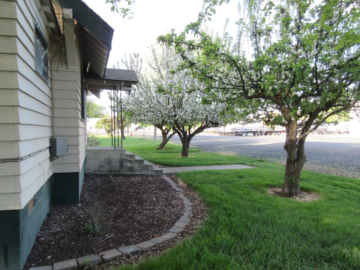 The Willows Motel - thumb 1