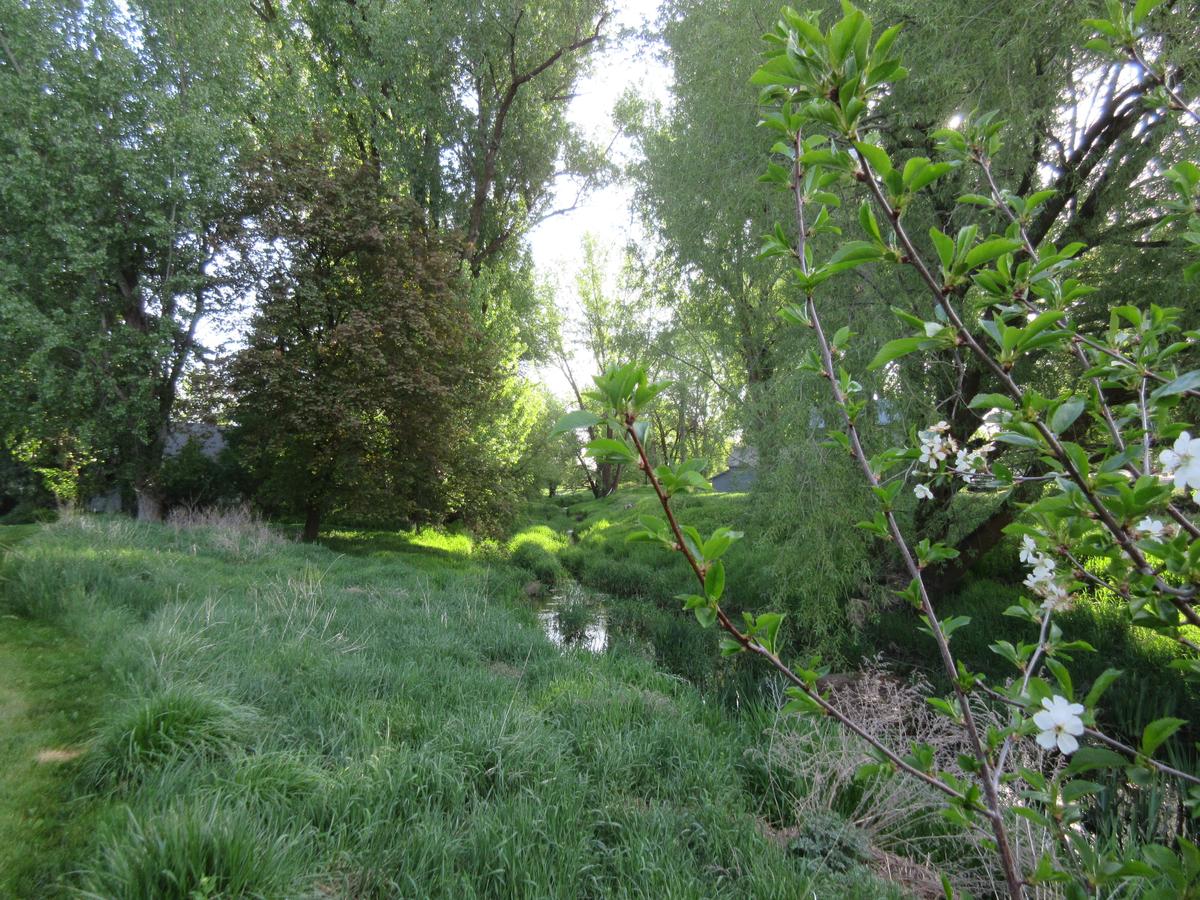 The Willows Motel - thumb 7