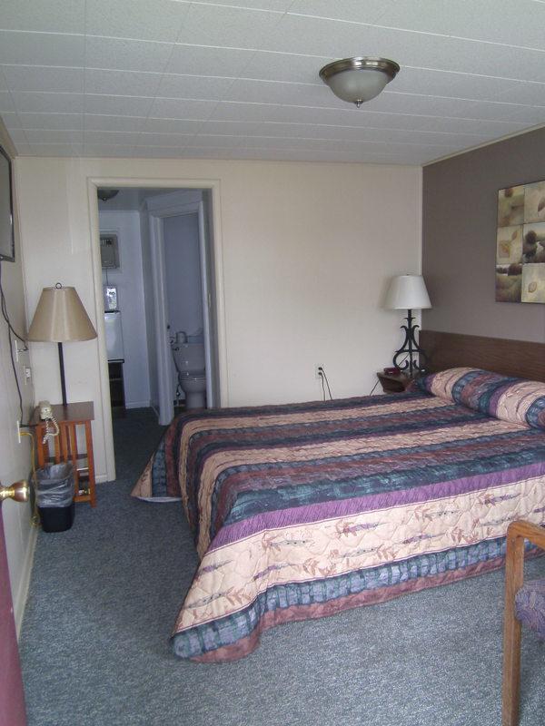 The Willows Motel - thumb 27