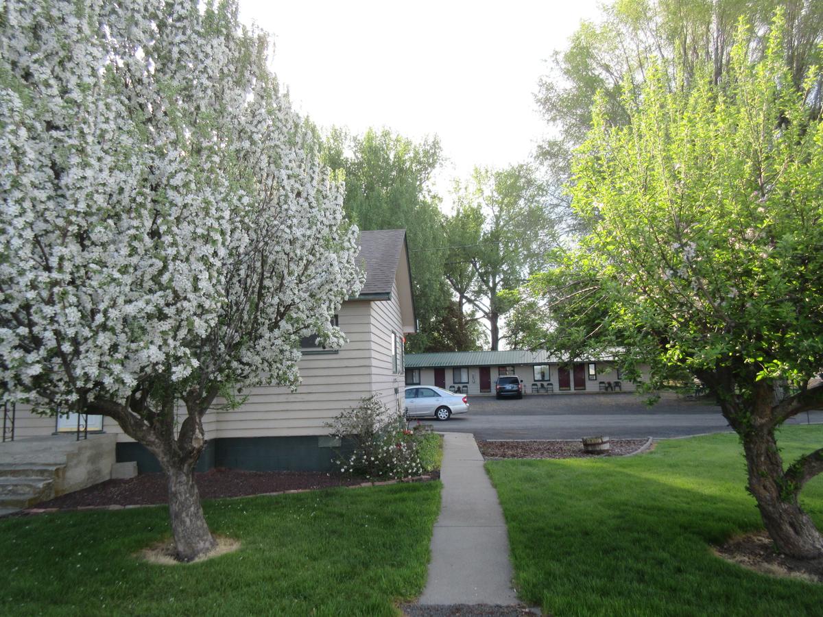 The Willows Motel - thumb 17