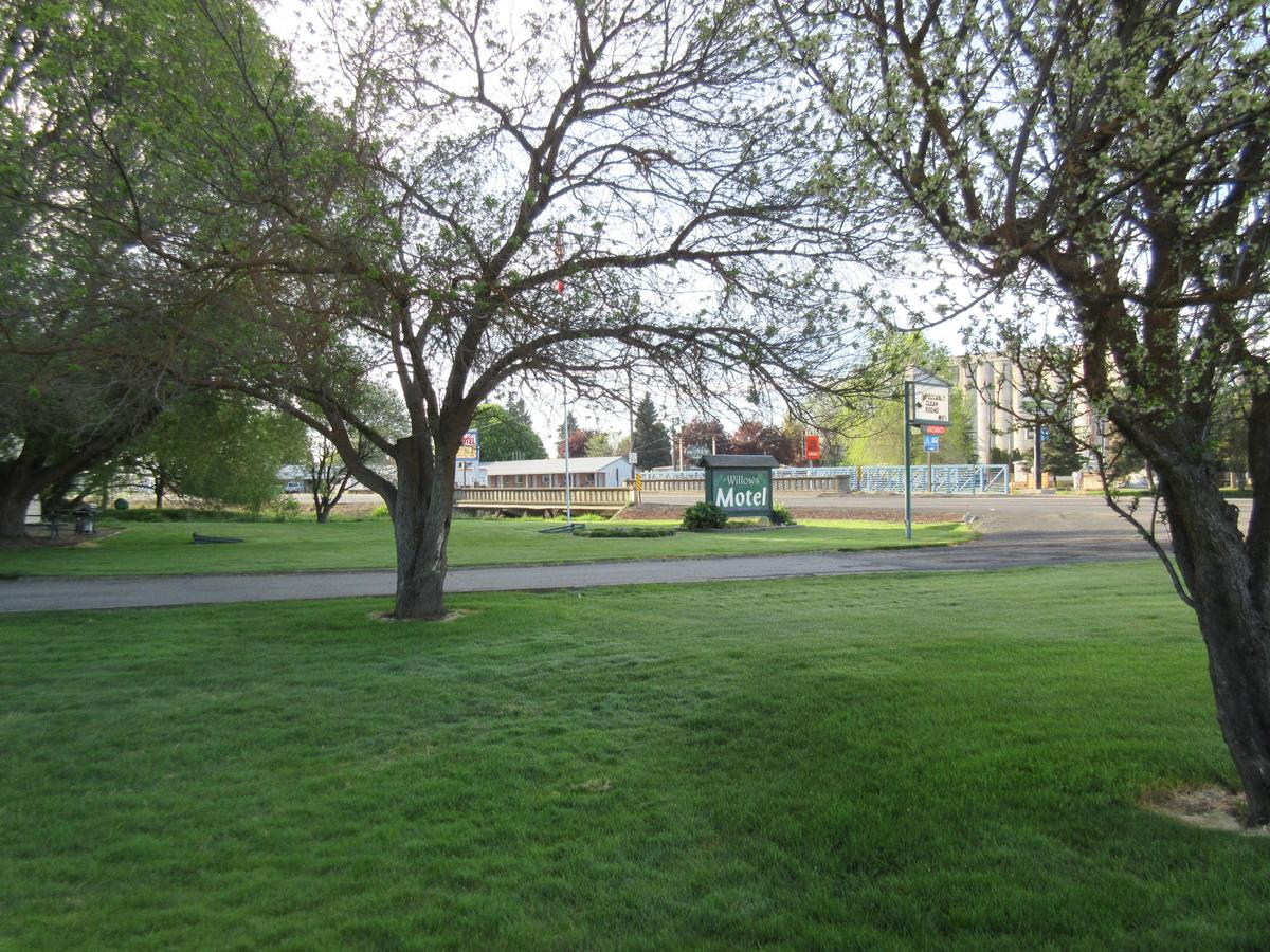 The Willows Motel - thumb 15