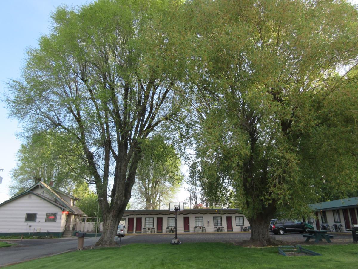 The Willows Motel - thumb 11