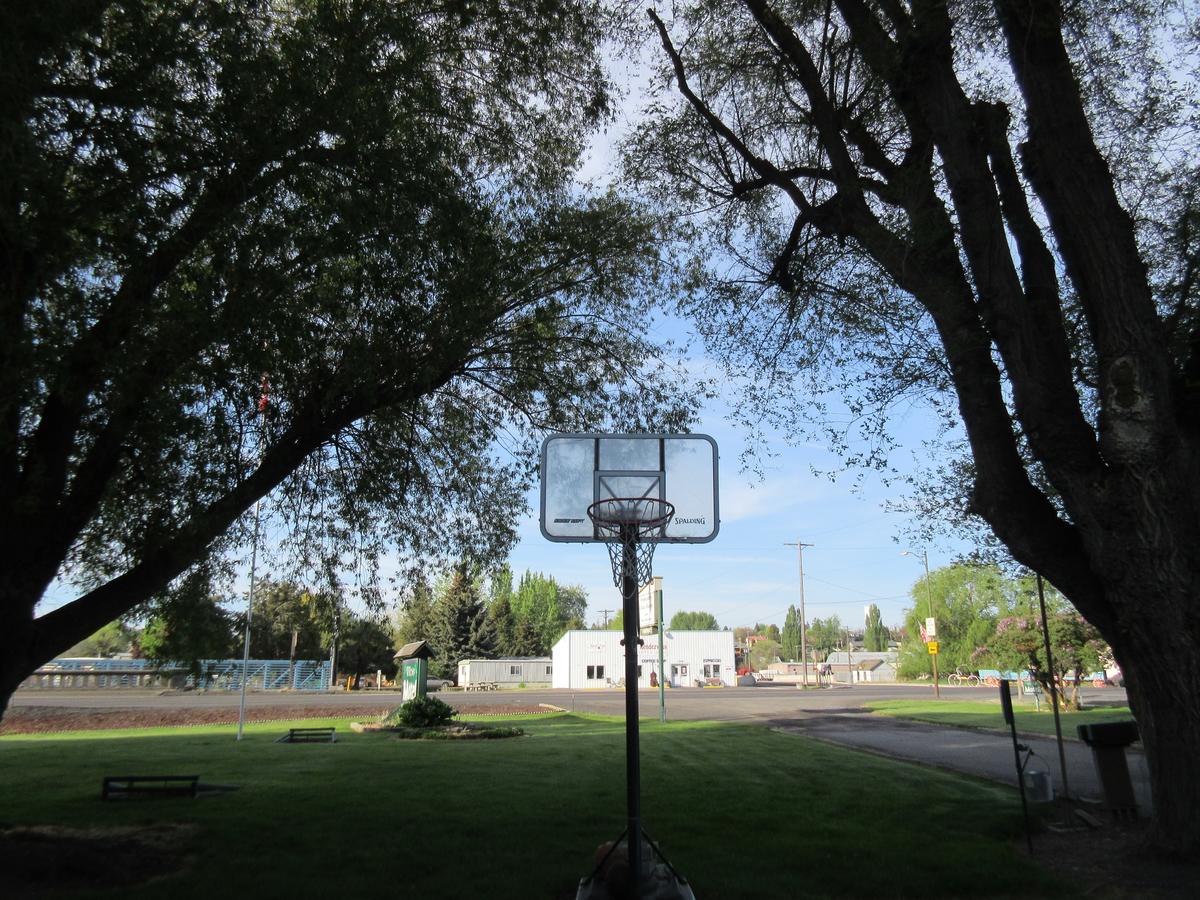 The Willows Motel - thumb 5