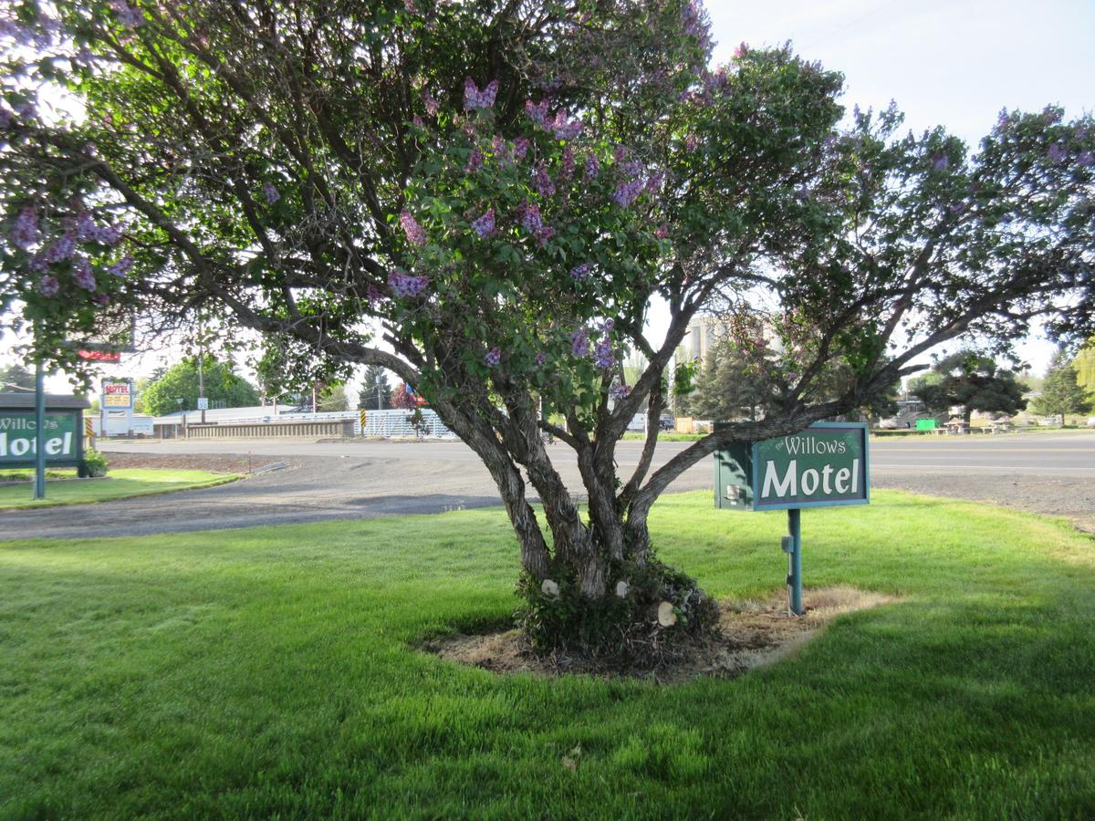 The Willows Motel - thumb 14