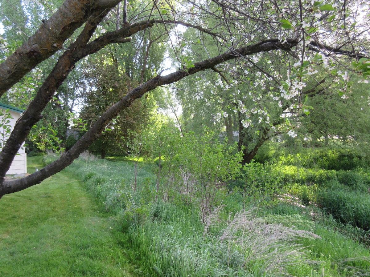 The Willows Motel - thumb 8