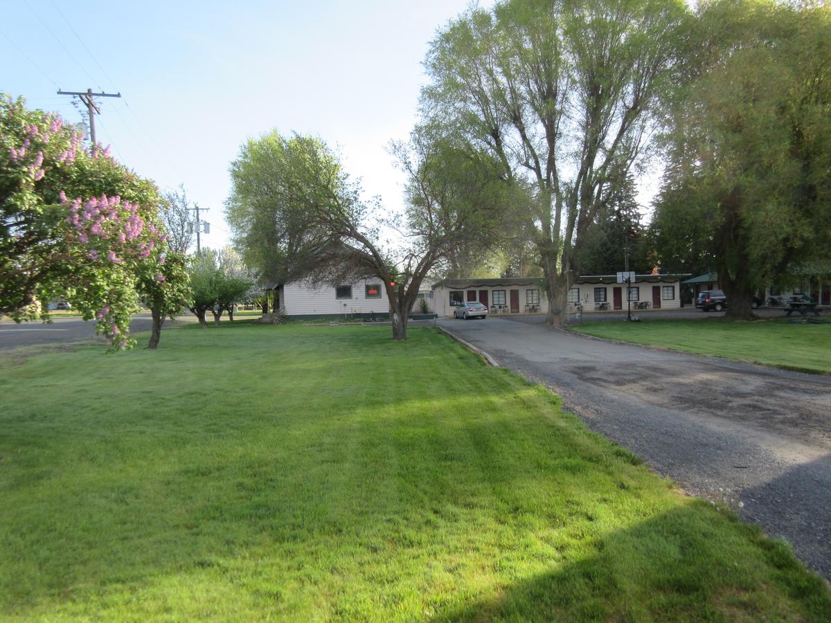 The Willows Motel - thumb 13