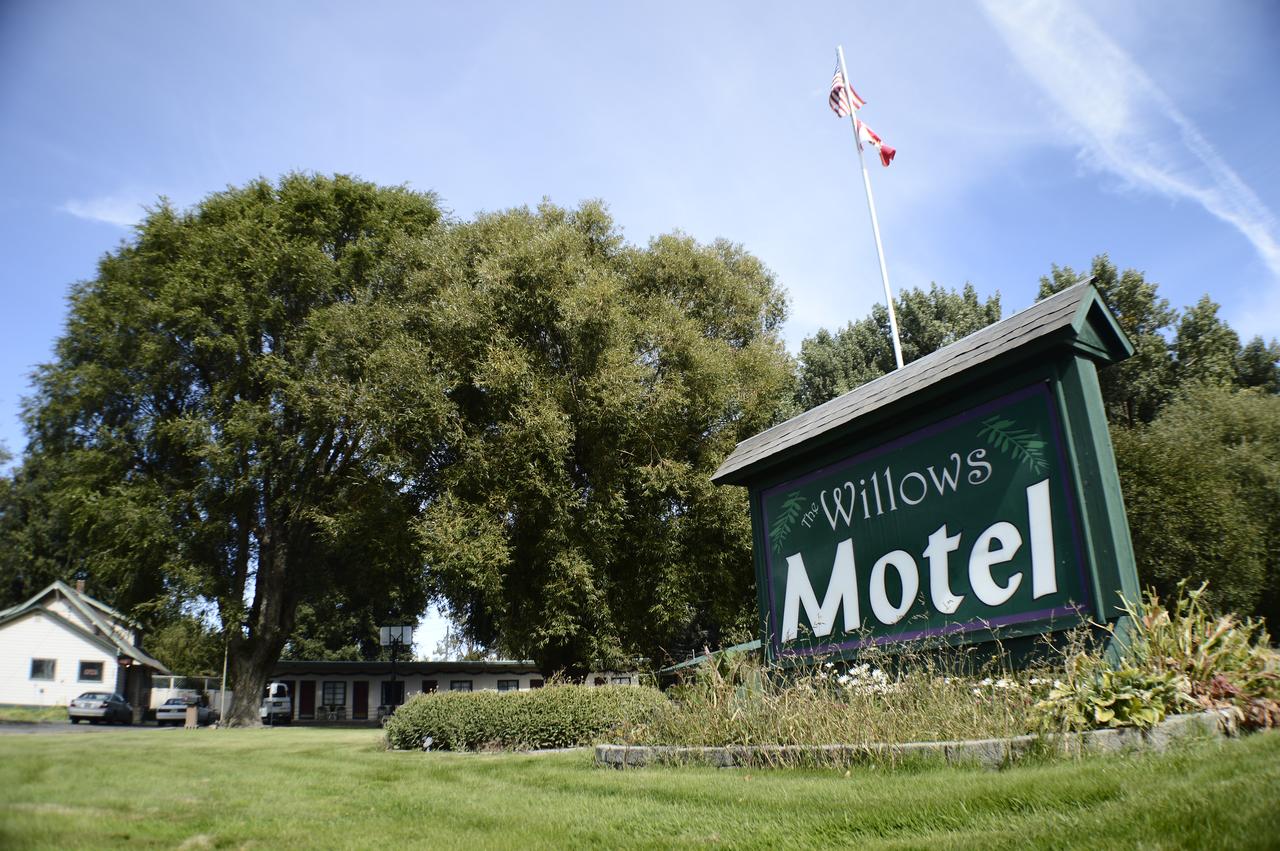 The Willows Motel - thumb 18