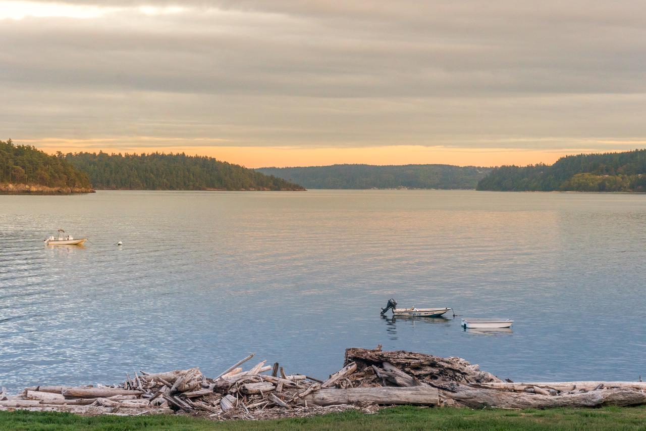 Driftwood Retreat - thumb 6