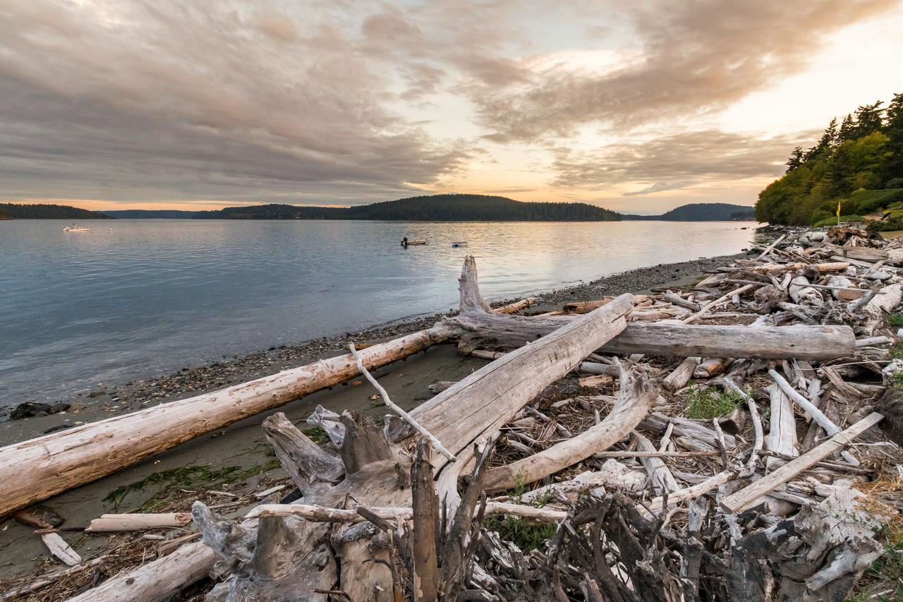 Driftwood Retreat - thumb 8