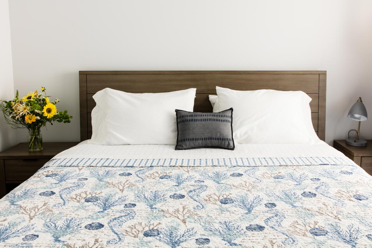 The Web Suites - thumb 0