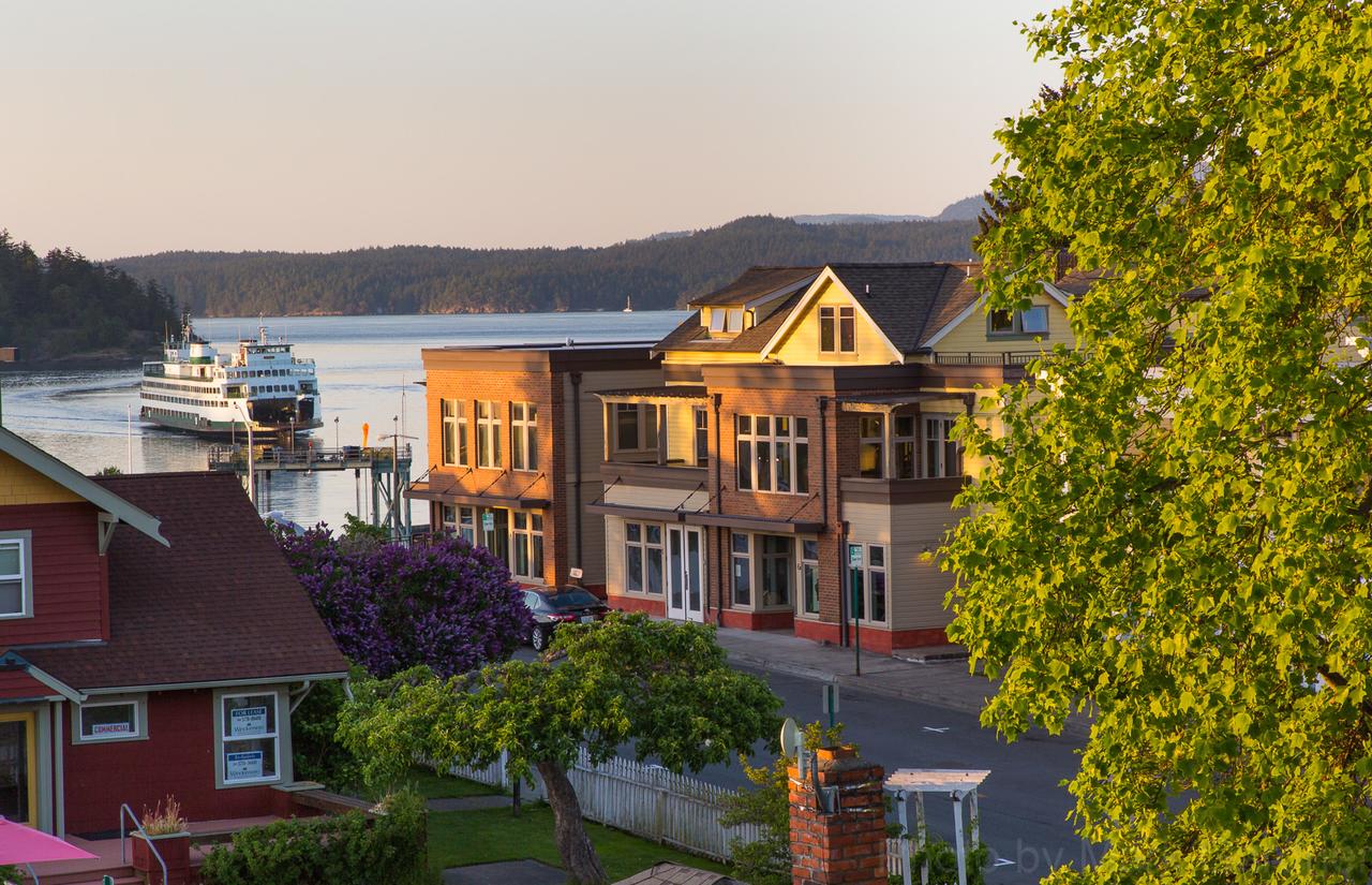 The Web Suites - thumb 2