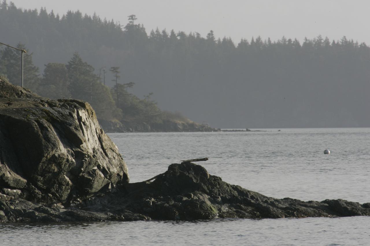 La Conner Camping Resort Deluxe Cabin 6 - thumb 6