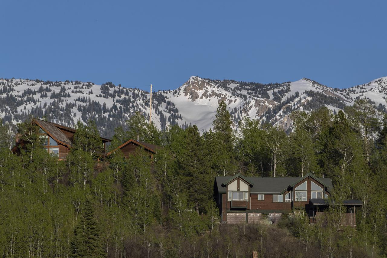 Alpine Recharge - thumb 2