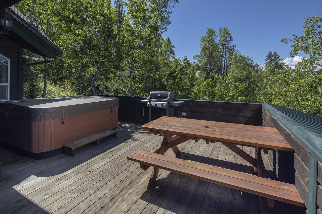 Alpine Recharge - thumb 21