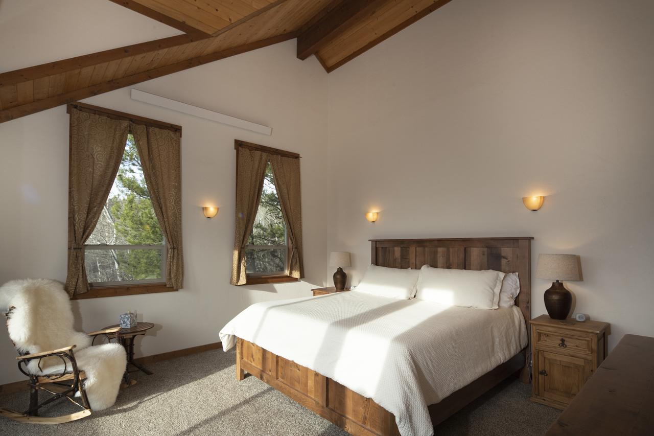 Alpine Recharge - thumb 12