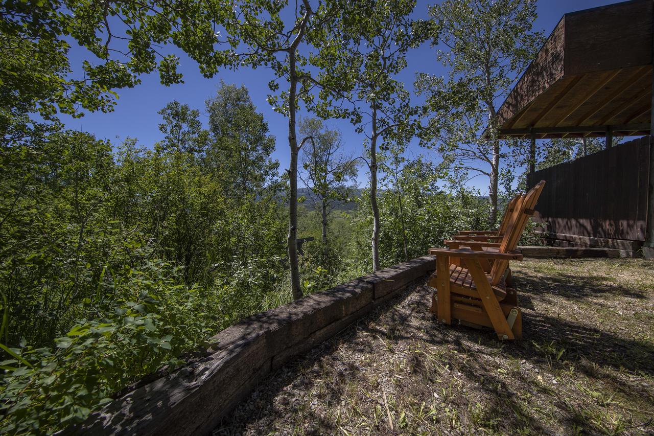 Alpine Recharge - thumb 37