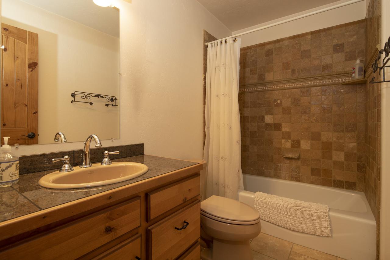 Alpine Recharge - thumb 30