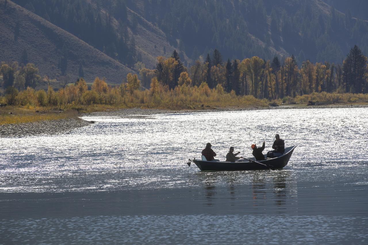 Alpine Recharge - thumb 16