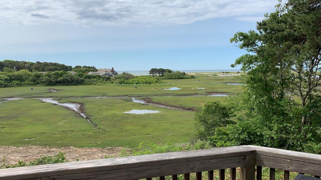 623 - Wind Song - thumb 1