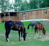 'Townsend Ranch Bunkhouse' on Working Ranch! - Accommodation Alabama