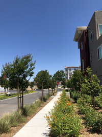 Book Dublin Hotels, Accommodation Alabama Accommodation Alabama