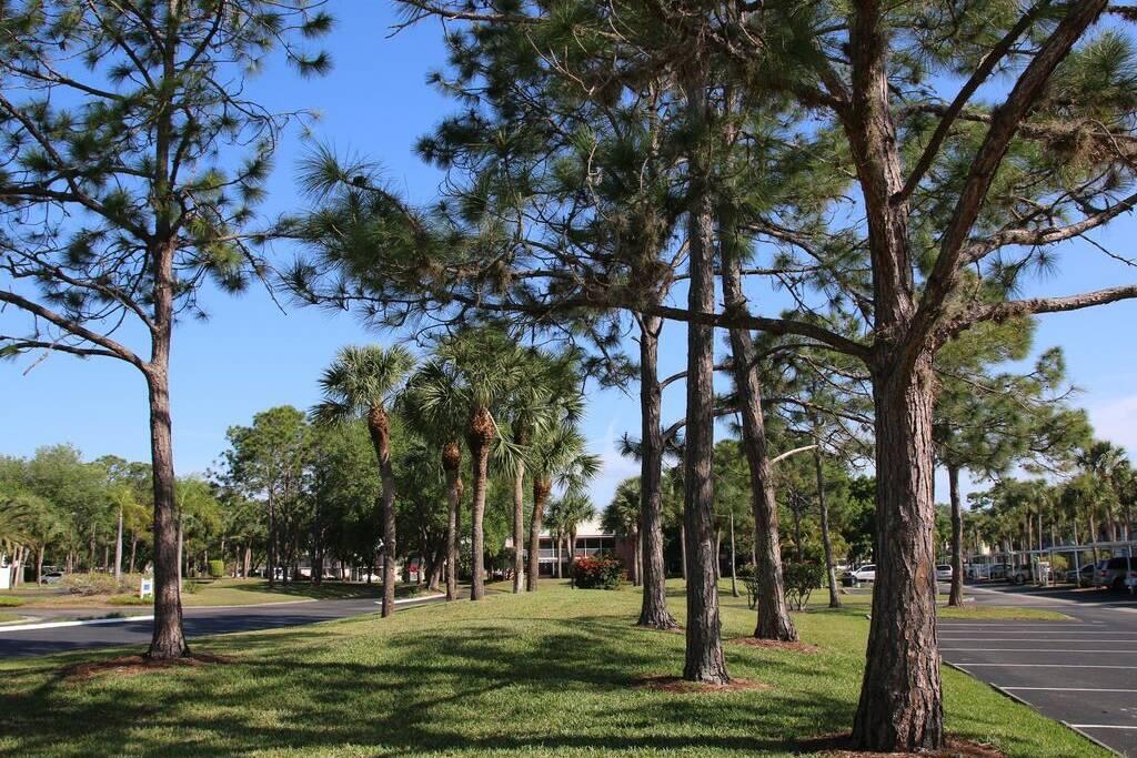 2BR Ground Level Condo With Pool 10 Minutes To Beaches With Golf Course Views - thumb 1