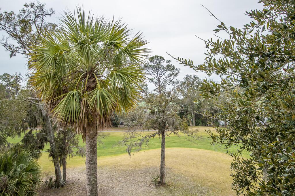 752 Bonito - thumb 3