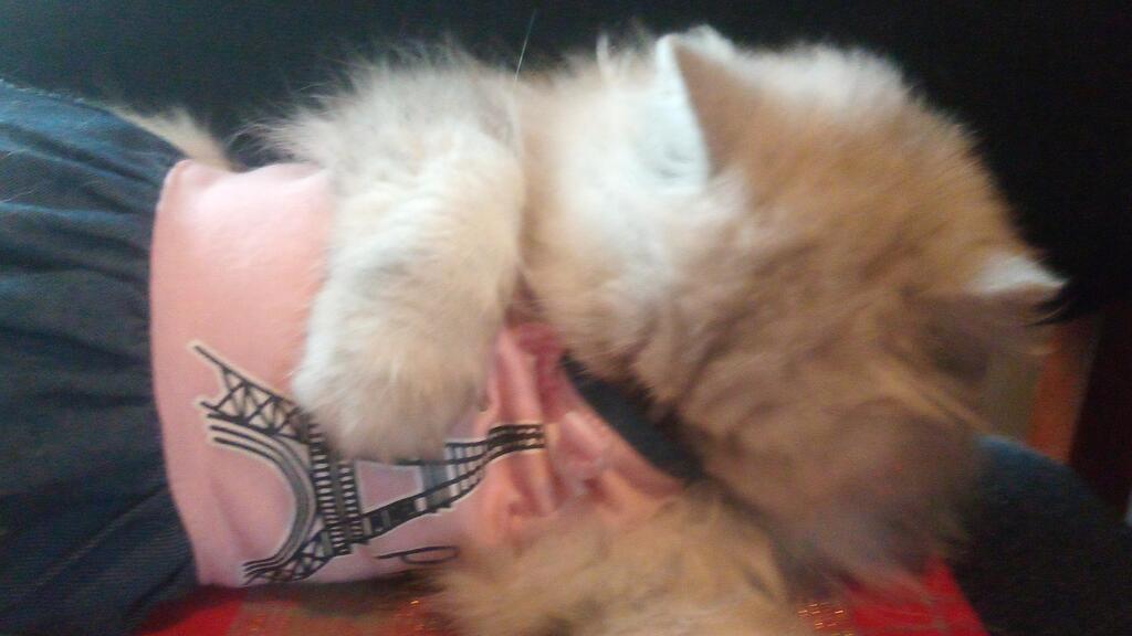 A Perfect Place To Stay - thumb 2