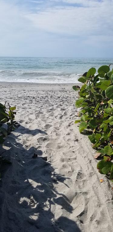 Beach Condo #5 - thumb 3