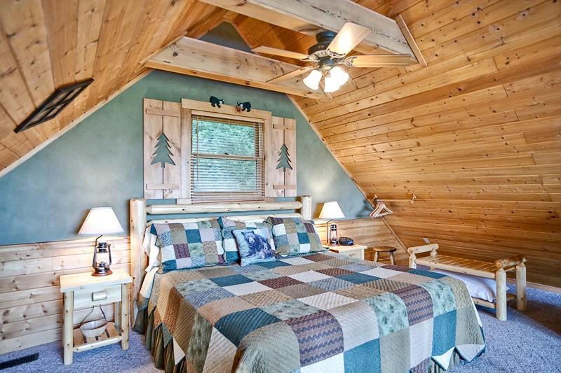 Bear Pause - thumb 3