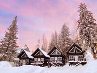 Black Bear Cabin 1 cabin Accommodation Alabama