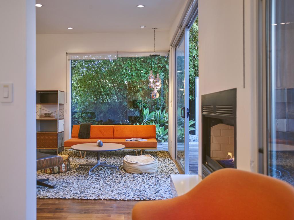 Cactus Flower - thumb 2