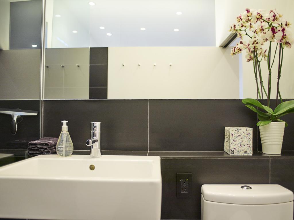 Cactus Flower - thumb 1