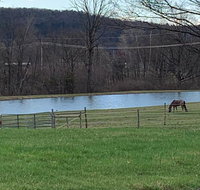 Chamberlin Farms LLC - Accommodation Alabama
