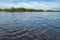 De Soto Studio - Ideal for Couples Walk to Main St Accommodation Alabama