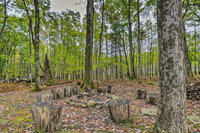 Deep Creek Cabin with 2 Acres 8Mi to Wisp Ski Resort Accommodation Alabama