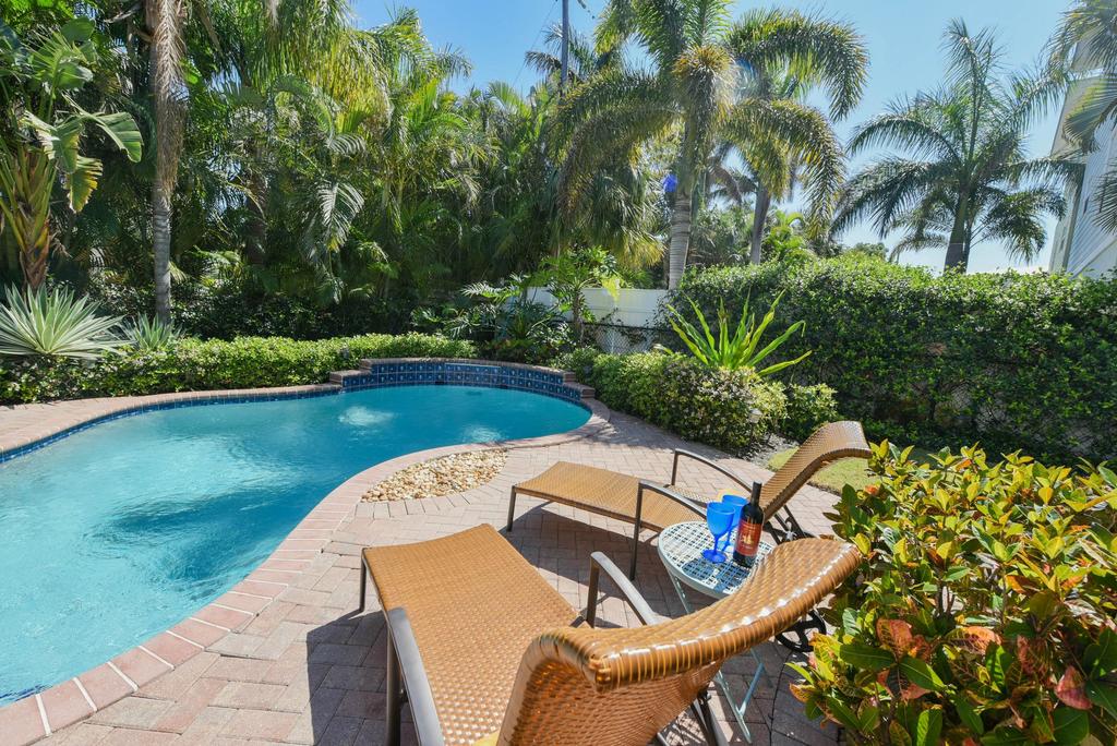 Dolphin House - thumb 0