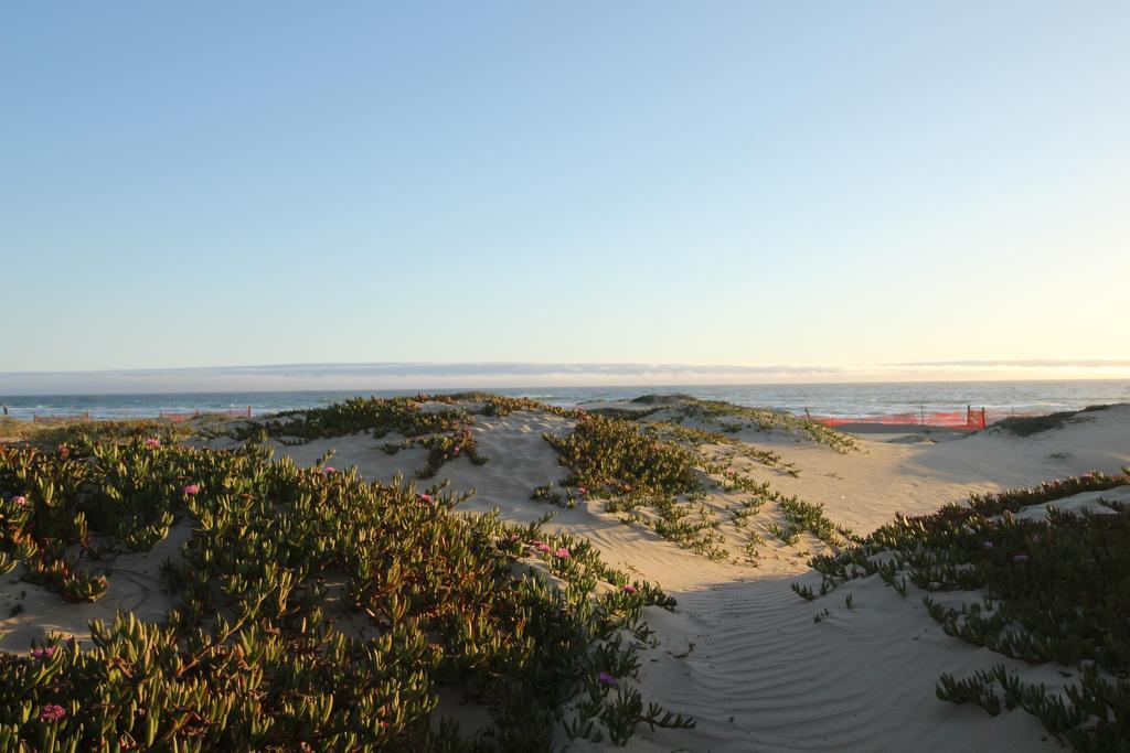 Dunes Condo - thumb 1