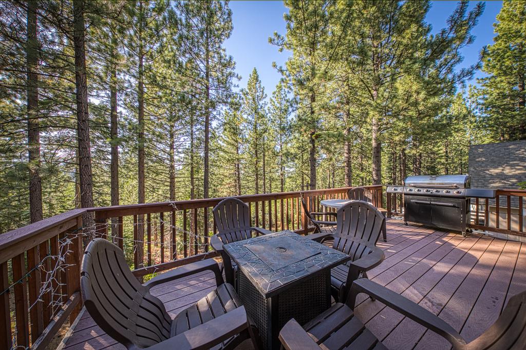 Elegant Pine - thumb 3