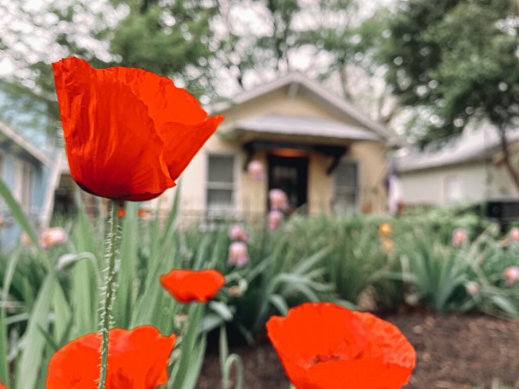 Elm Street Cottage - 2 Blocks To Downtown Square - thumb 2