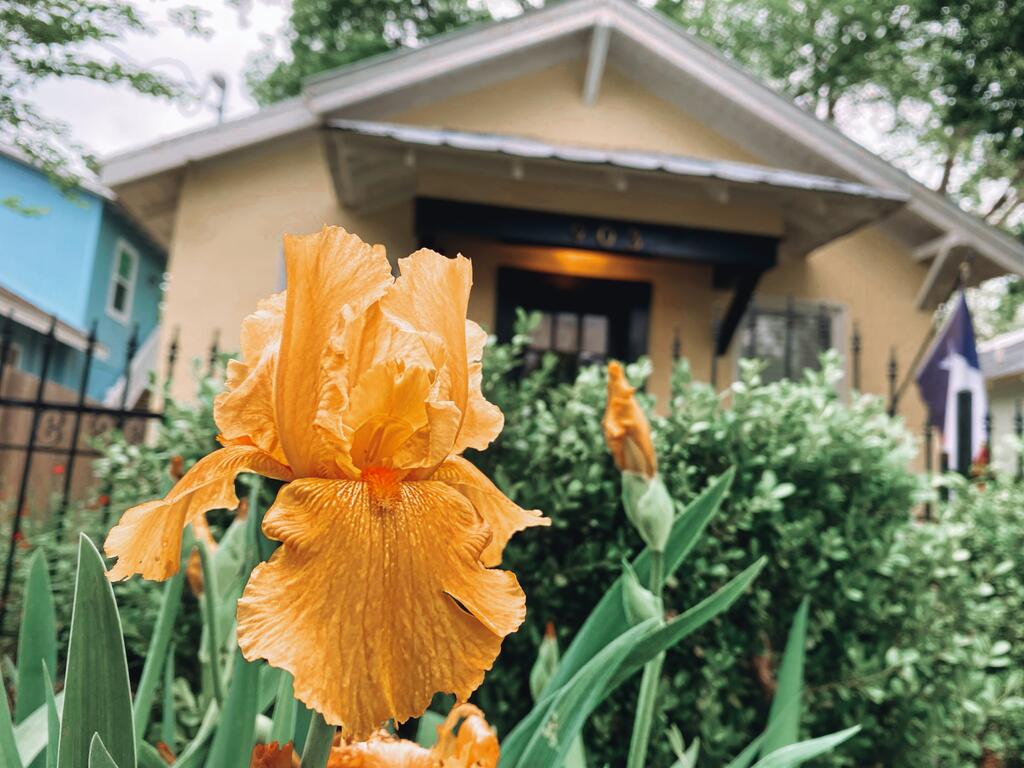 Elm Street Cottage - 2 Blocks To Downtown Square - thumb 3