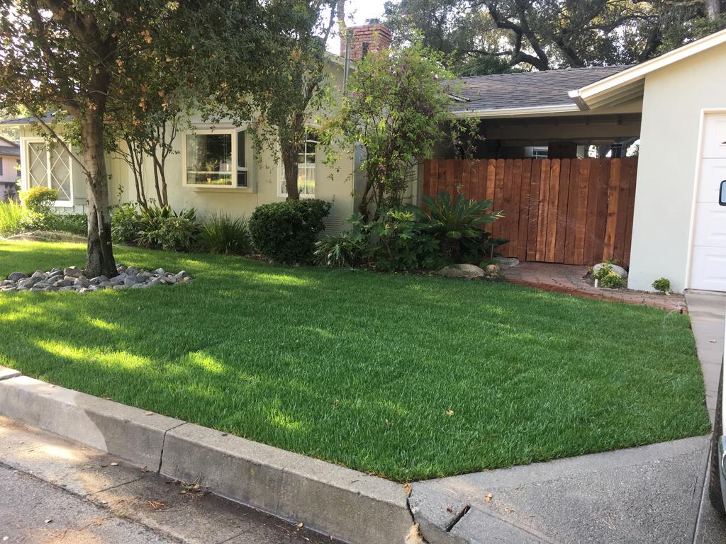 Glendale Guest House - thumb 2