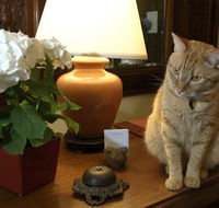 Golden Gate Hotel - Accommodation Alabama