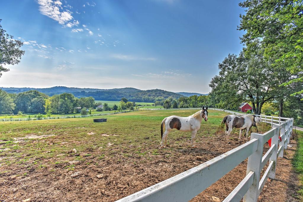 Hillside Cabin On 43 Acres With Private Lake & View! - thumb 3