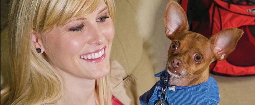 Home2 Suites By Hilton Phoenix Airport North, Az - thumb 1