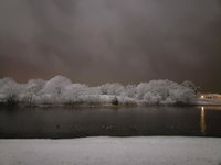 Lofthouse Accommodation Alabama