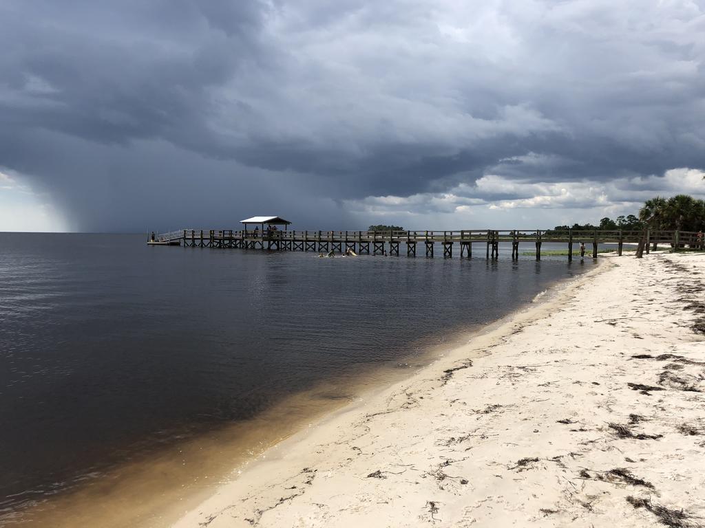 Lower Suwannee - thumb 3