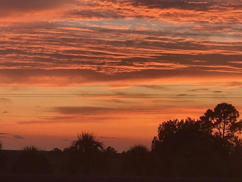 Lower Suwannee - thumb 2